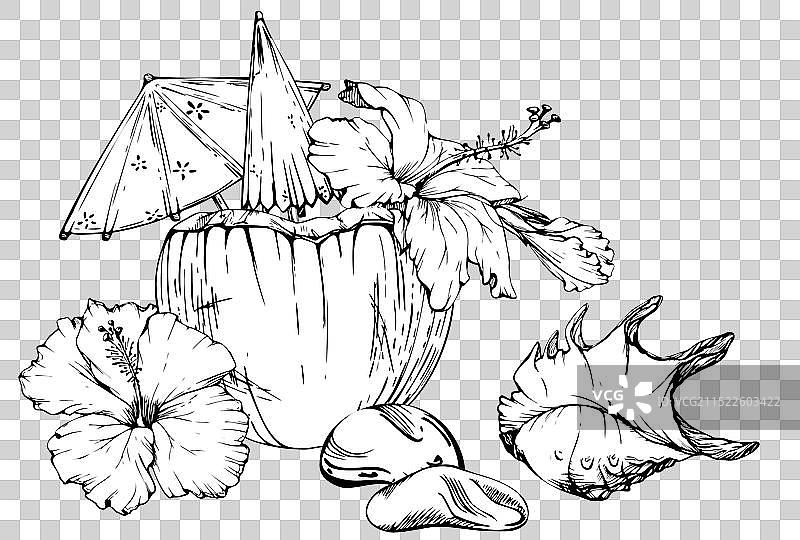 手绘墨水椰子鸡尾酒组合图片素材