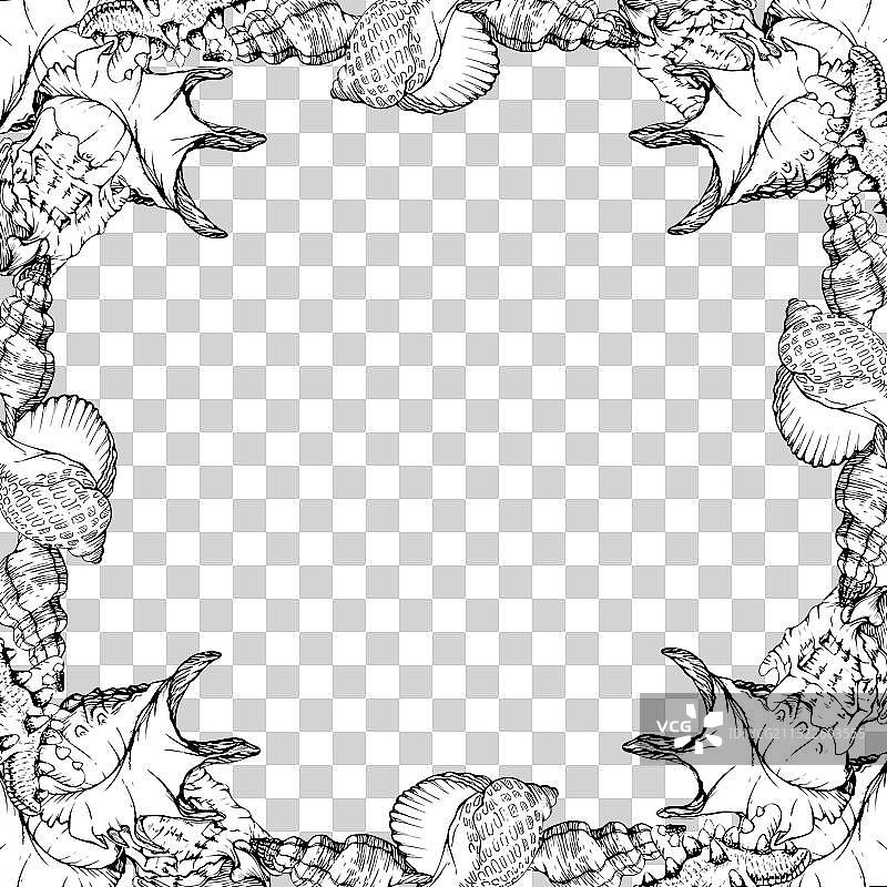 手绘墨水螺旋珍珠棕色金色海洋图片素材