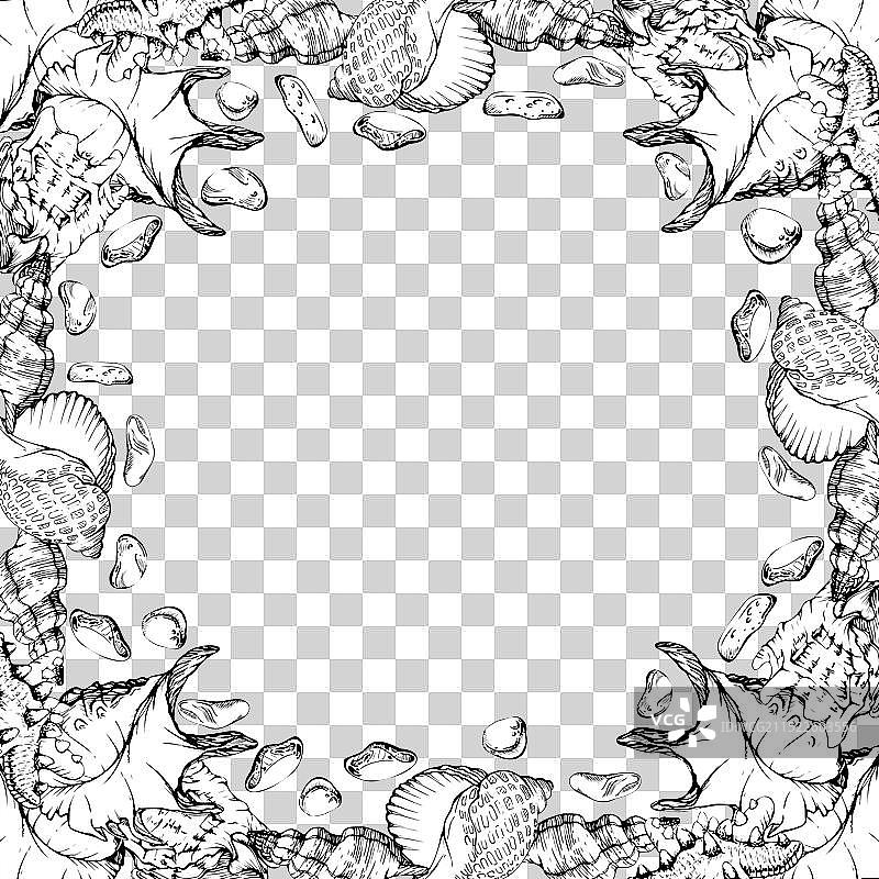 手绘墨水螺旋珍珠棕色金色海洋图片素材