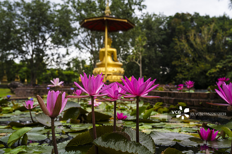 中缅边境第一次村 西双版纳勐景来村图片素材
