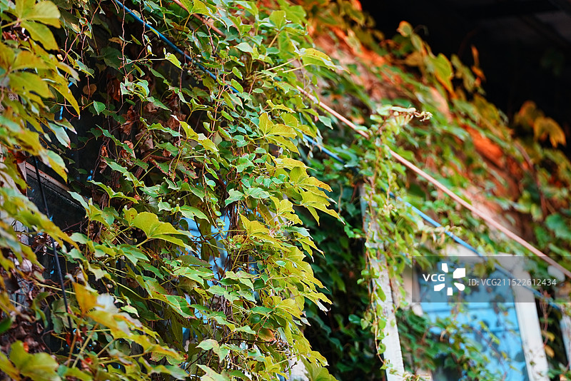 南宁唐山路鸳鸯楼老建筑居民楼民居建筑摄影图片素材