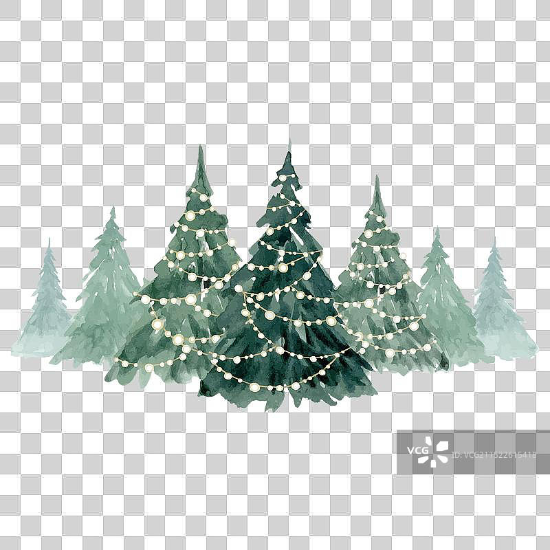 装饰灯串的成排冷杉树图片素材