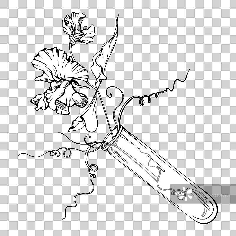 手绘墨水植物花叶图形图片素材