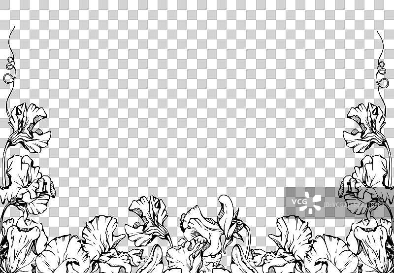 手绘墨水植物花叶图形图片素材