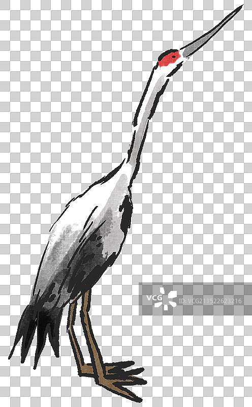 中国风新中式水墨风水墨画动物飞禽走兽国学经典仙鹤丹顶鹤鸟类插画图片素材