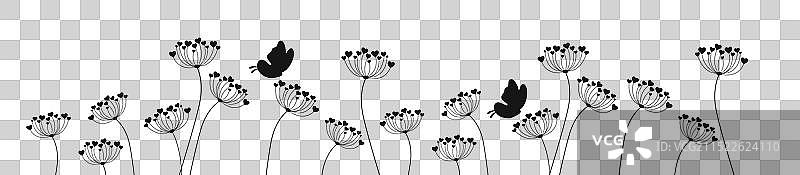 美丽的蒲公英花与飞舞的蝴蝶图片素材