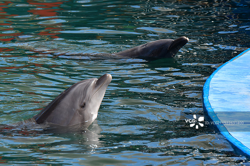 秦皇岛新澳海底世界图片素材