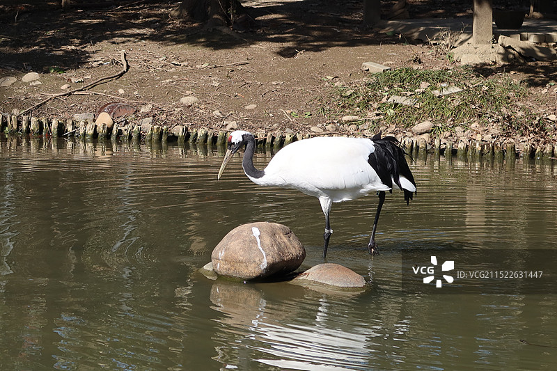 扬州市茱萸湾景区图片素材