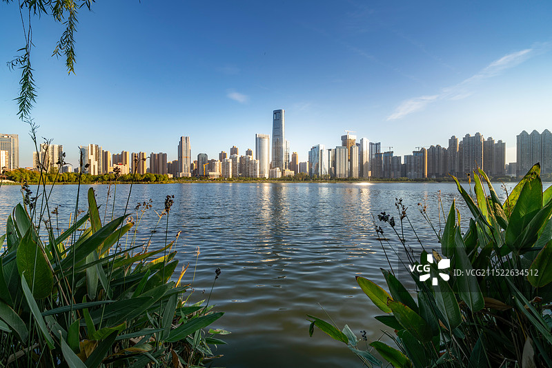 武汉沙湖公园湖边景观图片素材