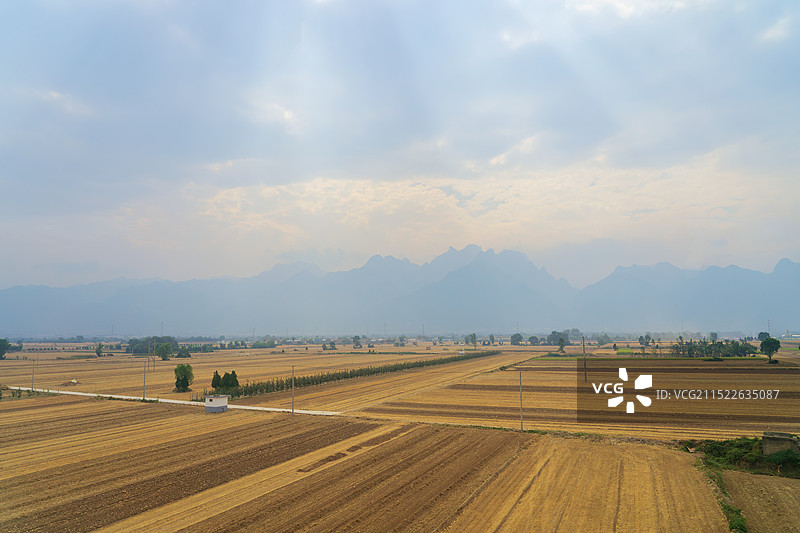 山西农业种植，玉米田丰收，十月秋收图片素材