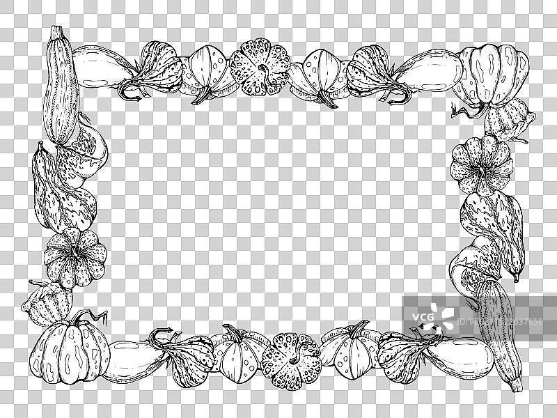 手绘南瓜葫芦素描艺术图片素材