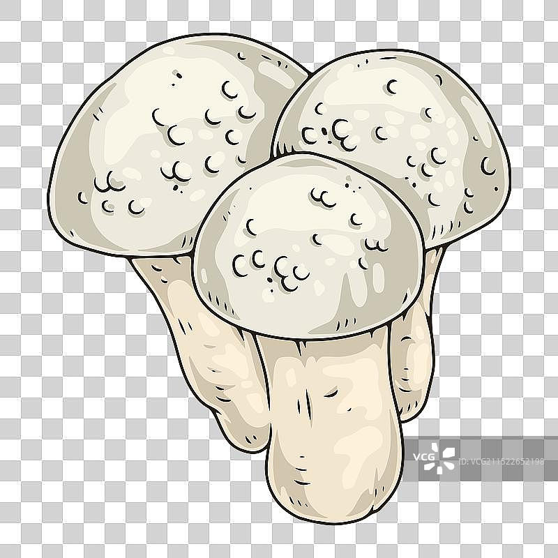 多彩蘑菇元素图片素材