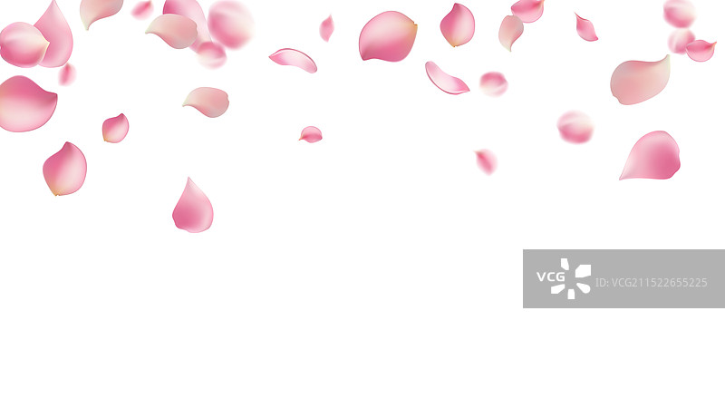 玫瑰花瓣或樱花飞舞的浪漫花瓣图片素材