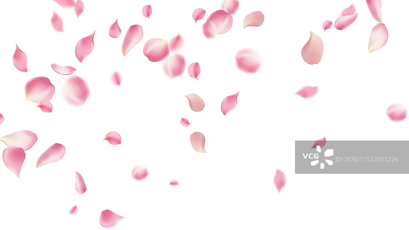 玫瑰花瓣或樱花飞舞的浪漫花瓣图片素材