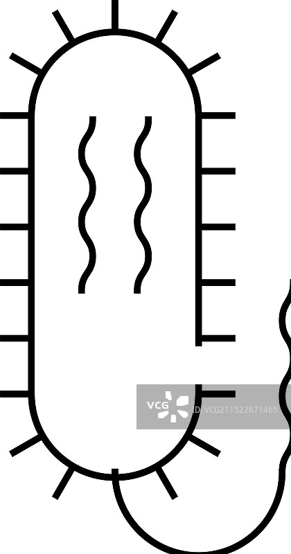 霍乱弧菌线条图标图片素材