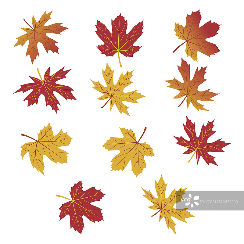 秋叶集合图片素材