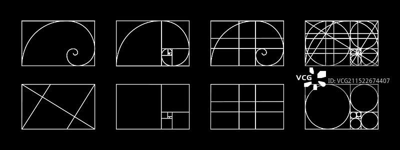 黄金比例模板鹦鹉螺外壳合集图片素材