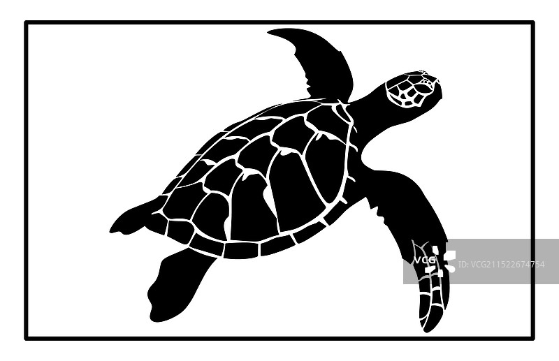 黑白海龟剪影动物图片素材
