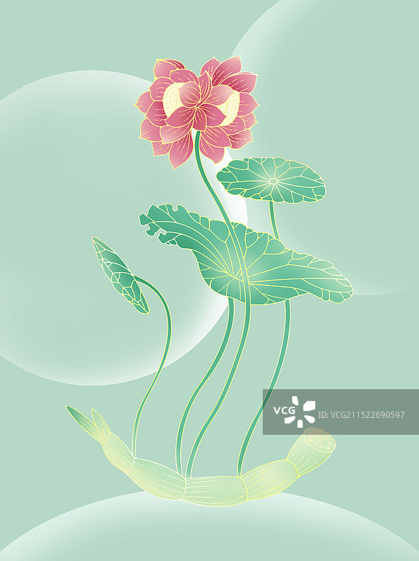 中国传统纹样并蒂莲开荷花莲花纹图片素材