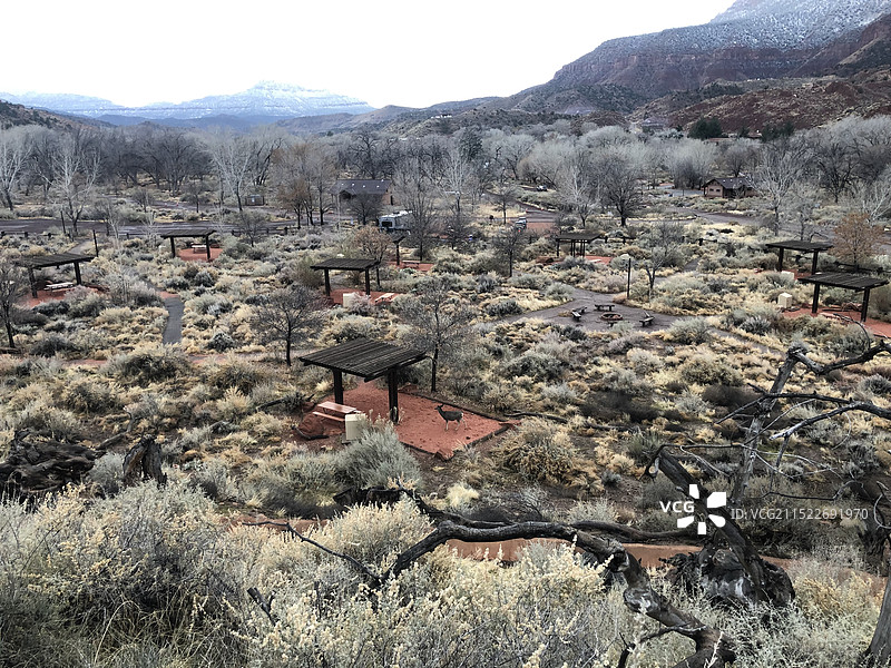 Zion国家公园图片素材