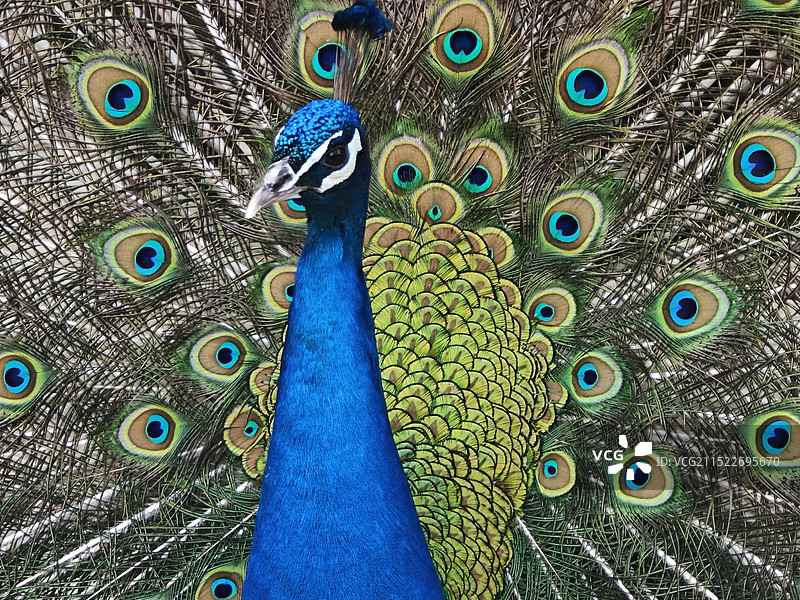 河南省动物园图片素材