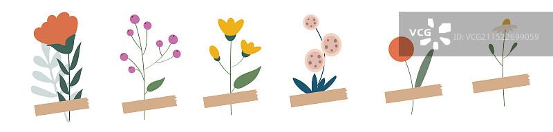 ins简约花卉图案设计插画设计图片素材