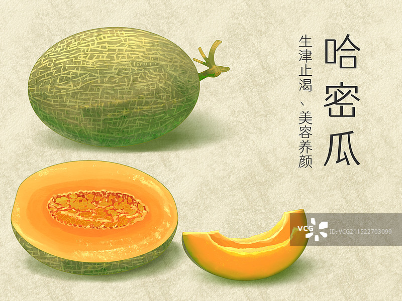 手绘水彩水果哈密瓜插画图片素材