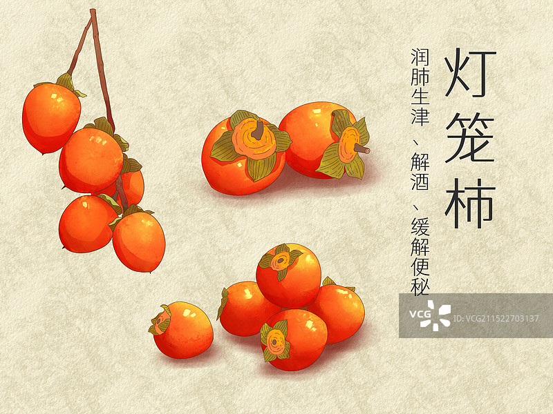 手绘水彩水果柿子灯笼柿插画图片素材