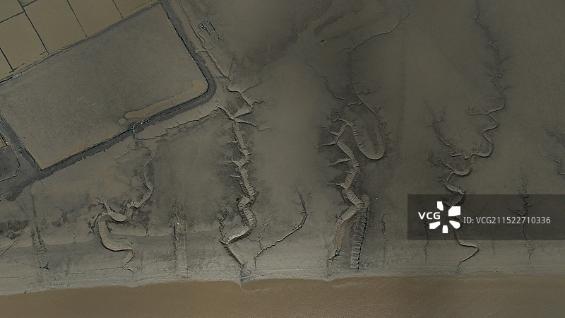 潮汐巨龙图片素材