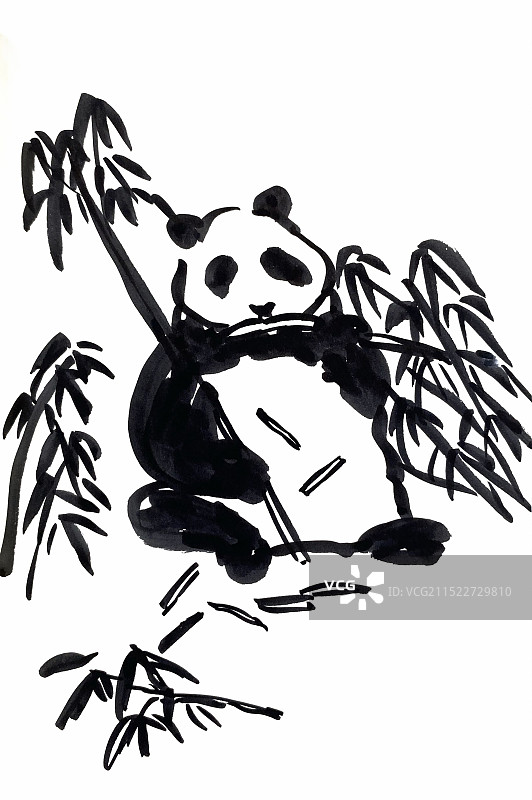 可爱的大熊猫吃竹子图片素材