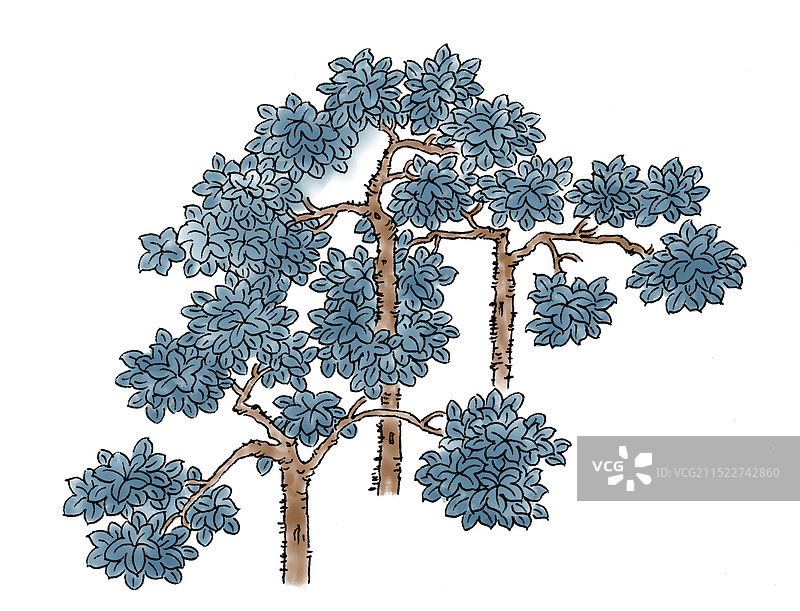 清新唯美手绘插画梧桐树图片素材