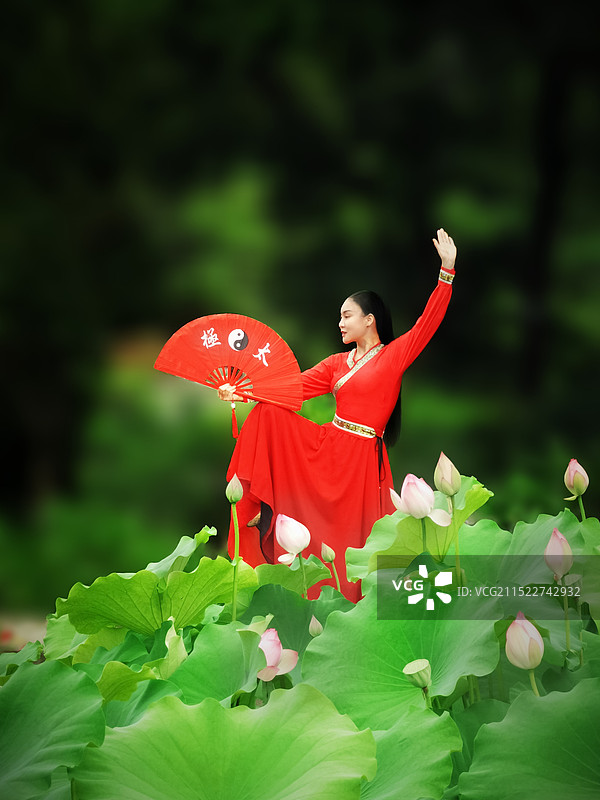 荷塘映像：侠女太极图片素材