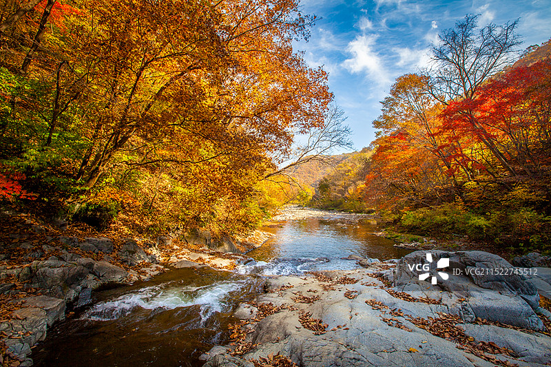 东北的秋天图片素材