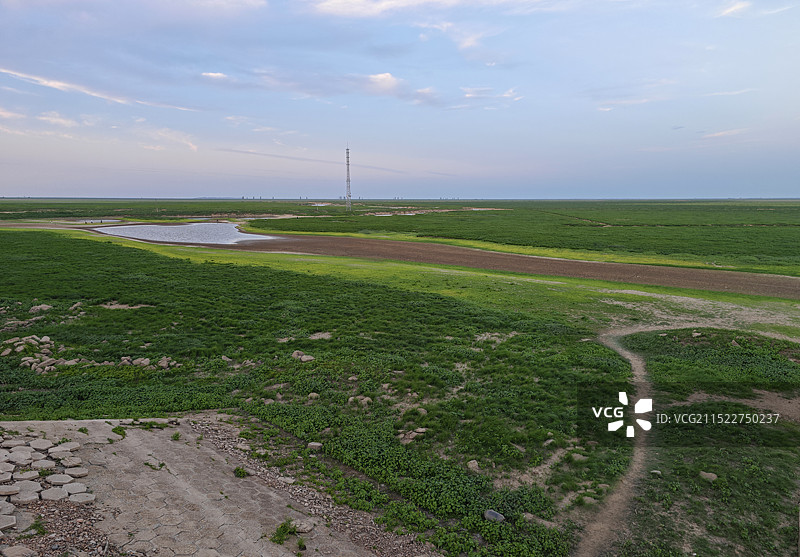 鄱阳湖湿地公园观鸟白鹤小镇草原草场河流图片素材