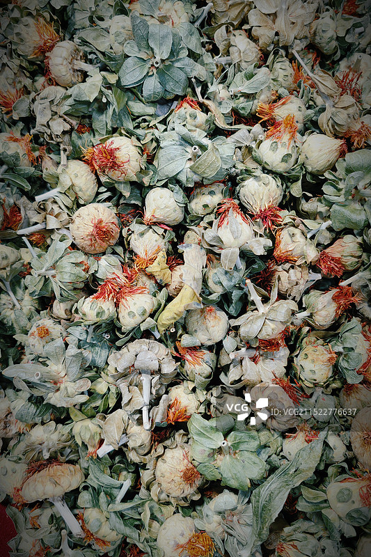 藏红花图片素材