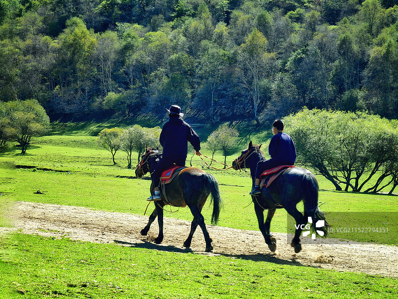 策马扬鞭图片素材