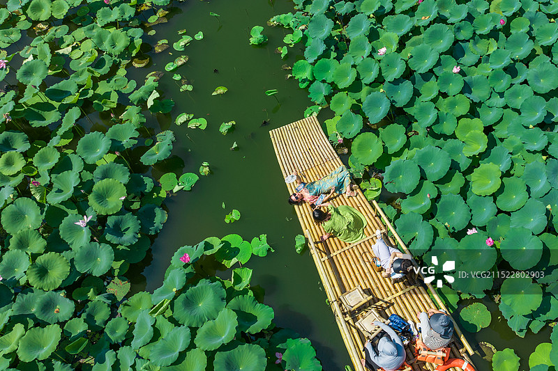 呈坎秋日风光，晒秋，荷花，竹筏图片素材