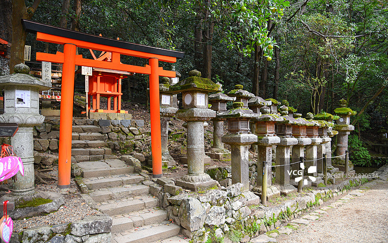 奈良公园与春日大社的风景图片素材