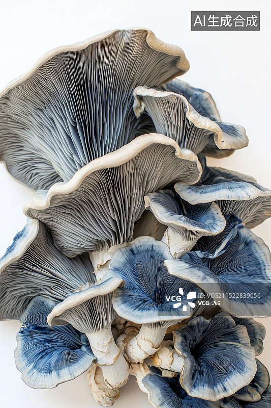 【AI数字艺术】蓝色蘑菇形态的特写图片素材