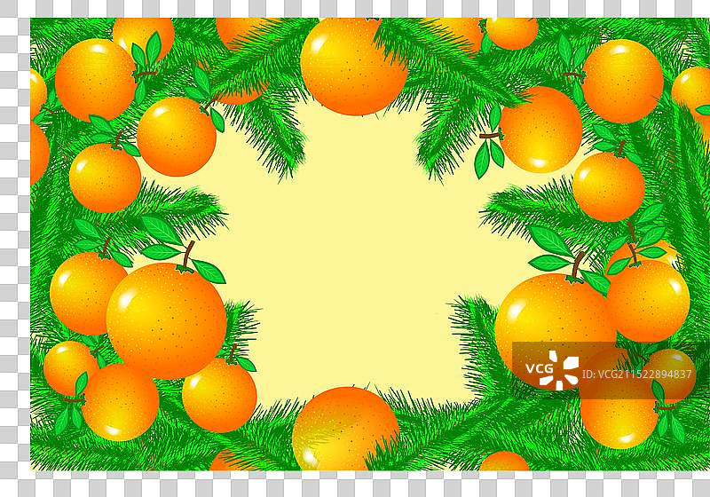 橘子与树枝背景框图片素材