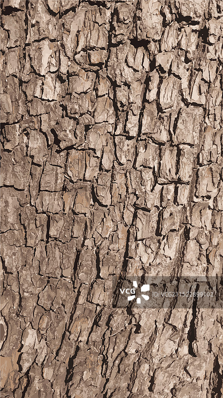 棕色树皮纹理图片素材