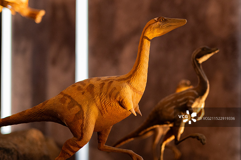 保定市古博物馆图片素材