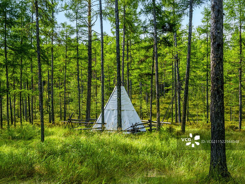 敖鲁古雅使鹿多妮娅原始部落图片素材