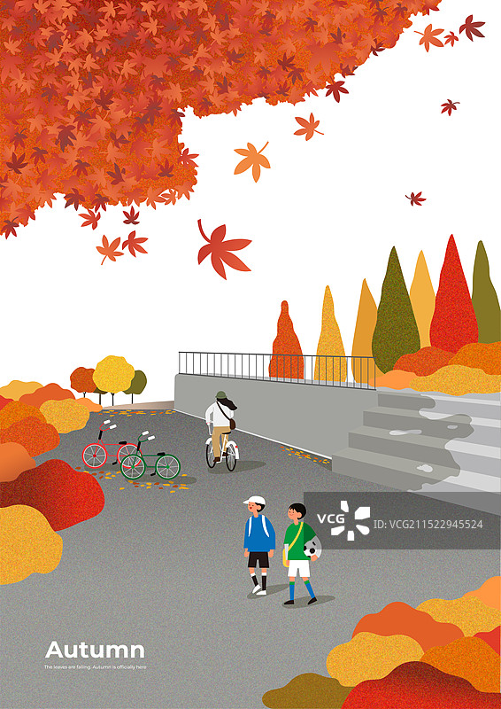 秋日成熟的枫树图片素材