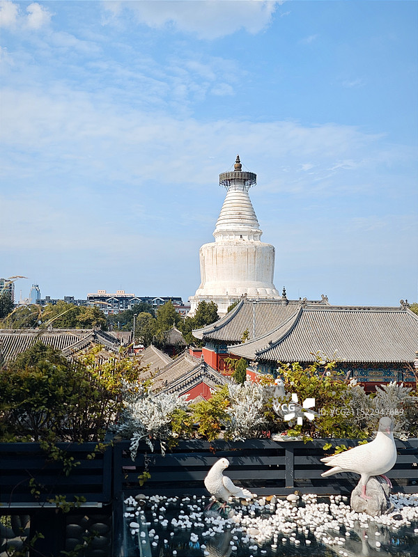 北京妙应寺白塔图片素材