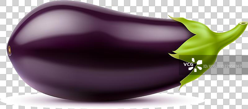 逼真的生茄子蔬菜图片素材