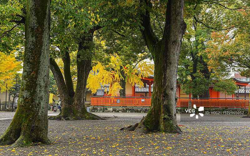 日本京都的东寺图片素材