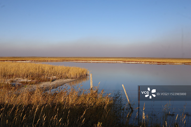 呼伦贝尔大草原图片素材