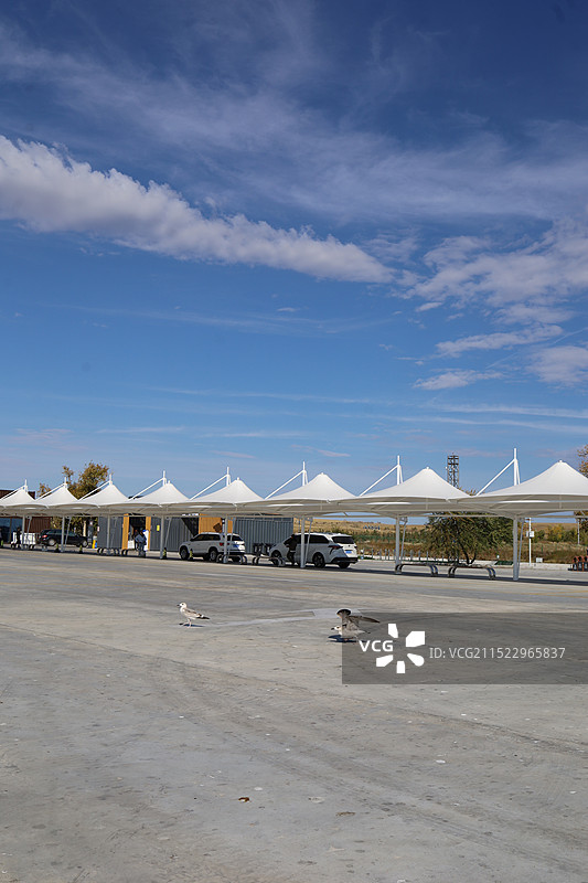 呼伦贝尔大草原图片素材