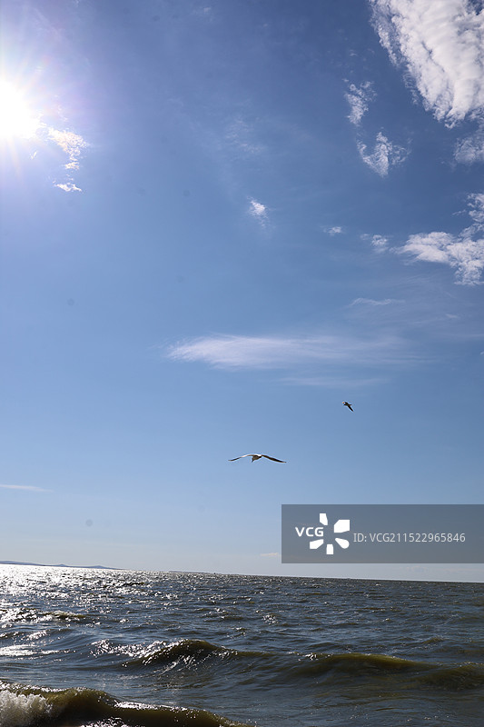 呼伦贝尔大草原图片素材